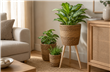 DECORTIVAS C/BASE SET X3 MACETAS