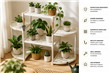 ORGANIZADOR FLOWER FRAME (578)