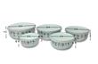 SET DE 5 BOWLS ENLOZADOS OSR