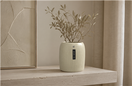 MACETA CERAMICA (1098)