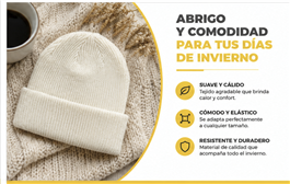 GORRO DE INVIERNO (880)